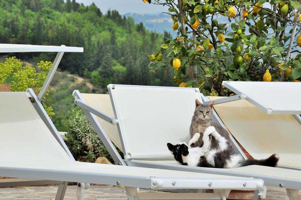 Agriturismo La Villa Romita Tavarnelle Val di Pesa Экстерьер фото